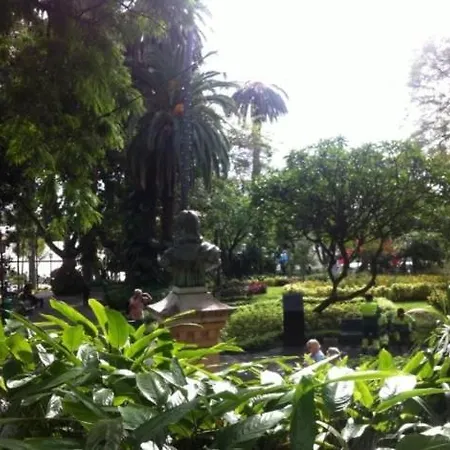 - Garden - Free Parking & Ac * Funchal (Madeira)