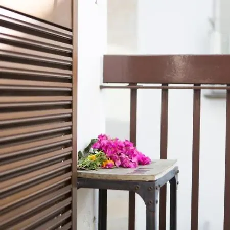 - Garden - Free Parking & Ac Funchal (Madeira)